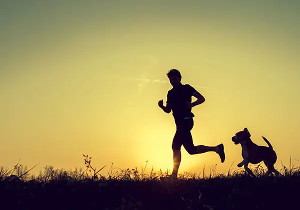 A man runs with his dog at sunset