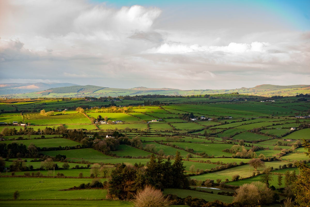 Limerick Fundraising Walk - Lighthouse Charity