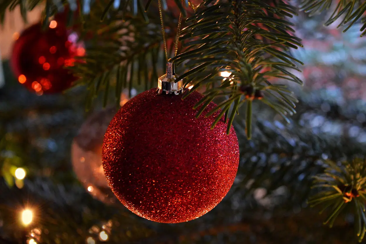 Lighthouse Charity Central Region Annual Christmas Lunch - Oxfordshire