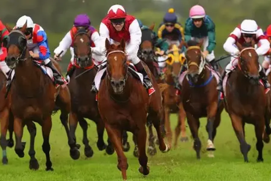 HORSES